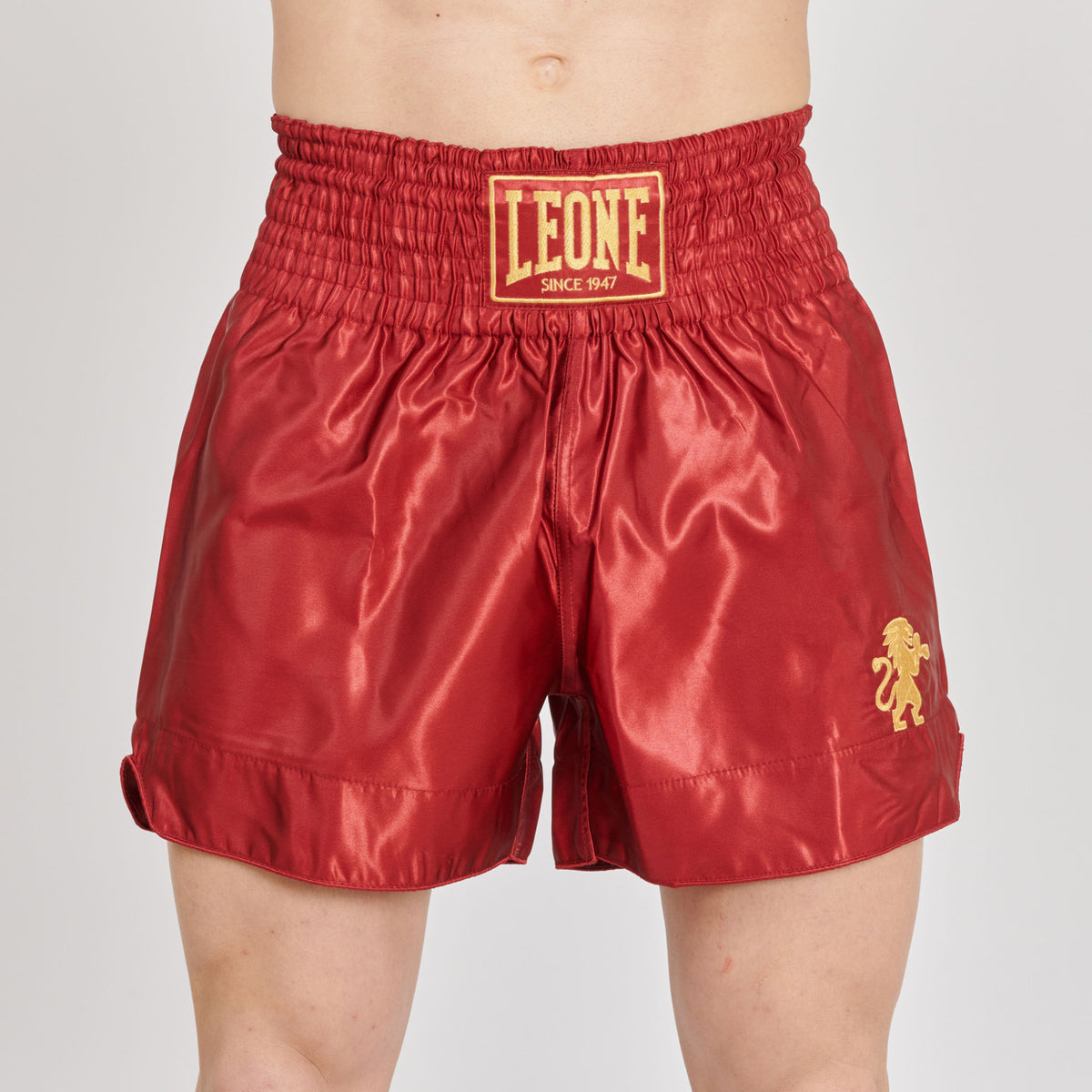 Leone Basic 2 Kick Stuttbuxur - 5 litir