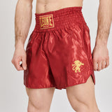 Leone Basic 2 Kick Shorts - 5 litir