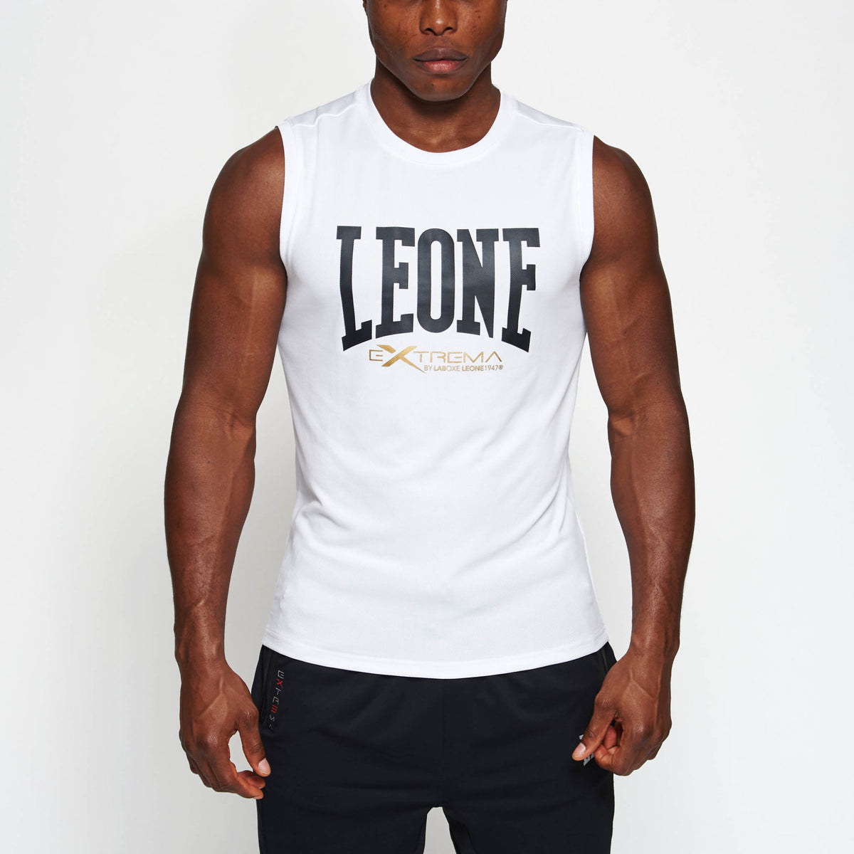 Leone Logo ermalaus bolur